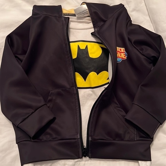 Justice League Batman‎ Hoodie - Picture 1 of 4